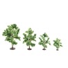 Forêt mixte 16 arbres – NOCH 24623 – H0/TT/N/Z