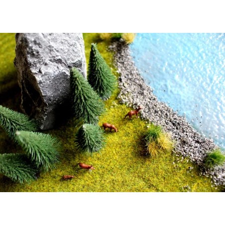 25 Sapins – NOCH 32820 – N/Z