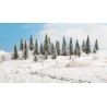 25 Sapins enneigés – NOCH 32828 – N/Z