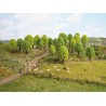 10 Arbres feuillus – NOCH 32901 – N/Z