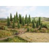 10 Sapins – NOCH 32925 – N/Z
